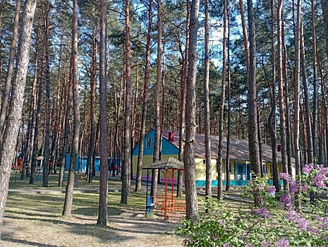 В Курской области летом работают 20 учреждений допобразования