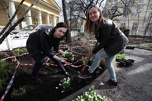 Клены и яблони высадят на Большой Татарской 24 апреля в рамках акции «Миллион деревьев»