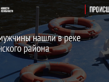 Тело мужчины нашли в реке Гатчинского района