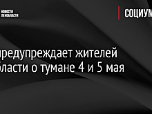 МЧС предупреждает жителей Ленобласти о тумане 4 и 5 мая