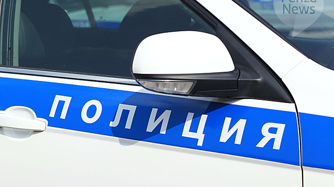 Пензенские полицейские по горячим следам задержали мужчину, напавшего на пенсионерку в подъезде