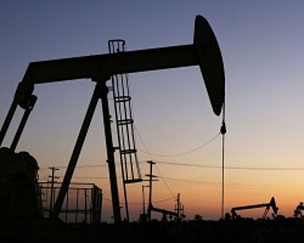 Рустэм Хамитов рассказал о дальнейшей судьбе пакета акций «Башнефти», принадлежащего республике