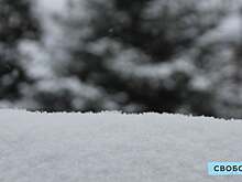 Неделя в Саратовской области начнется со снегопадов. К праздничным выходным морозы достигнут -27 градусов