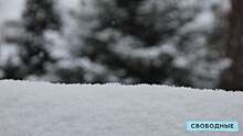 Неделя в Саратовской области начнется со снегопадов. К праздничным выходным морозы достигнут -27 градусов