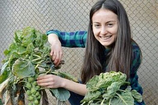 Зелёная душа. Жительница Осетии променяла карьеру экономиста на сад-огород