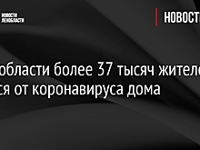 В Ленобласти более 37 тысяч жителей лечатся от коронавируса дома
