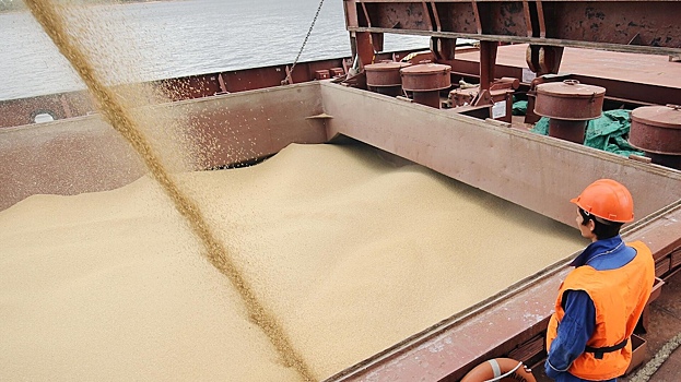 Российские производители зерна обвинили США в угрозе голода