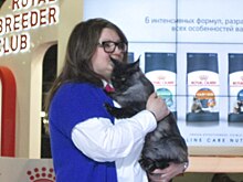 В условиях коронавируса владельцы животных могут бесплатно получать консультации ветеринаров