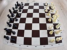 К онлайн-турниру по шахматам в Вешняках присоединился иностранный гость 