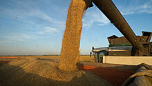 В Воронежской области собрали второй миллион тонн зерна