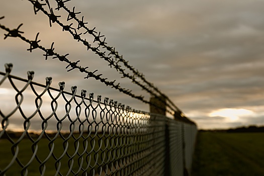 Осужденная за мошенничество экс-глава Сузунского района вышла на свободу