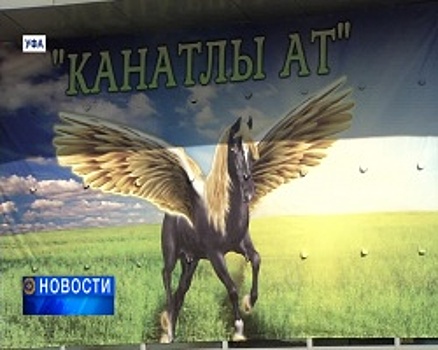 В Уфе прошёл фестиваль «Акбузат – Крылатый конь»