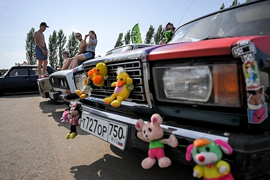 «Модный гусь и регистраторы!»: Автомобилистов не вдохновили штрафы за игрушки