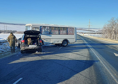 На трассе под Вольском столкнулись автобус и иномарка
