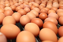Рост цен на яйца в России объяснили Пасхой