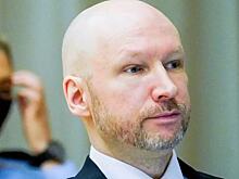 Брейвик возложил вину за свои теракты на неонацистов