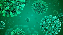 Обнаружена мутация, «научившая» коронавирус заражать человека