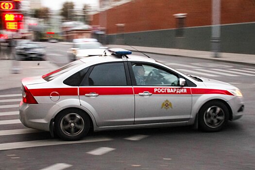 Жителя Воскресенска задержали за стрельбу в свою собаку