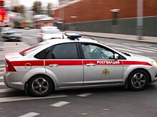 Жителя Воскресенска задержали за стрельбу в свою собаку