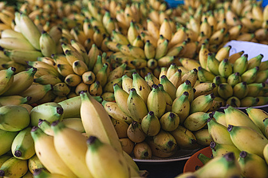 Российский ученый оценил вероятность полного исчезновения бананов