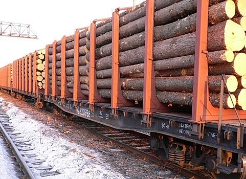          Из Кировской области в другие страны вывезли 744 тысячи кубометров лесопродукции       