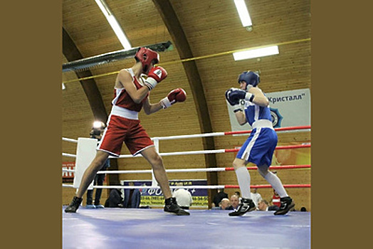 Чемпионат по боксу среди юношей прошел в Электростали