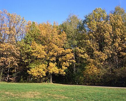 25 экологических организаций направили письмо генпрокурору РФ с требованием защитить Волго-Ахтубинскую пойму