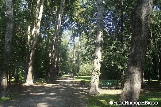 "Зеленую зону" Екатеринбурга губят дыры в законе