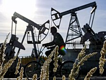 Стало известно, сколько нефтяники из США заработали на украинском кризисе