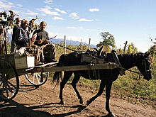 Москва и Тбилиси запутались в коридорах Цхинвала