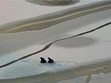 Со льда Ермошкина озера вывели двух школьников