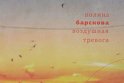 «Воздушная тревога» - новый сборник стихов Полины Барсковой
