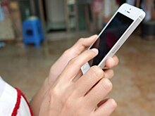 Детская биоидентификация: Роскомнадзору в защите биометрии несовершеннолетних должны помочь родители