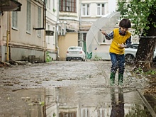Чиновники и депутаты города-спутника Новосибирска ответили на критику замглавы Минстроя РФ