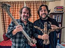 Режиссер «Властелина колец» решил воскресить гигантскую древнюю птицу