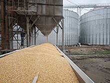 Украина обсудила с Турцией экспорт зерна на мировые рынки