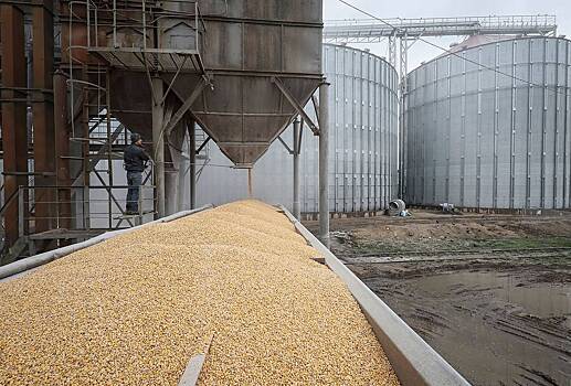 Украина обсудила с Турцией экспорт зерна на мировые рынки