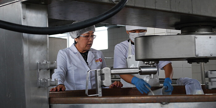 В Кыргызстане возобновили производство французского сыра