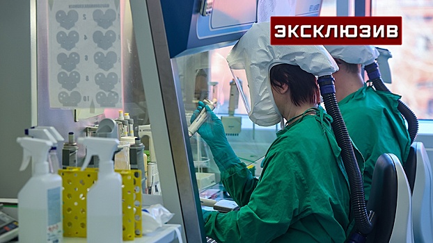 Инфекционист Андриенко рассказал, чем опасна лихорадка Западного Нила в Ростовской области