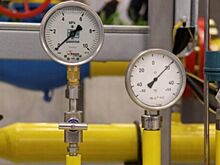 Падение цен упросит РФ и Белоруссии достижение нового газового соглашения