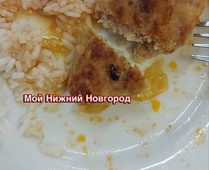 Студенты пожаловались на котлеты с тараканами в столовой НГТУ