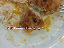 Студенты пожаловались на котлеты с тараканами в столовой НГТУ