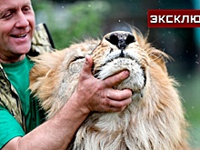 Запашный рассказал о слухах вокруг нападения на директора парка «Тайган»