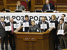 Партия «Батькивщина». Справка