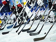Хоккейную коробку с искусственным льдом построят в Орехово‑Зуевском районе осенью 2018 г