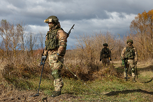 Выяснилось, сколько мин уничтожили саперы КНДР в Курской области