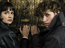 Съёмки «Фантастических тварей 3» приостановлены