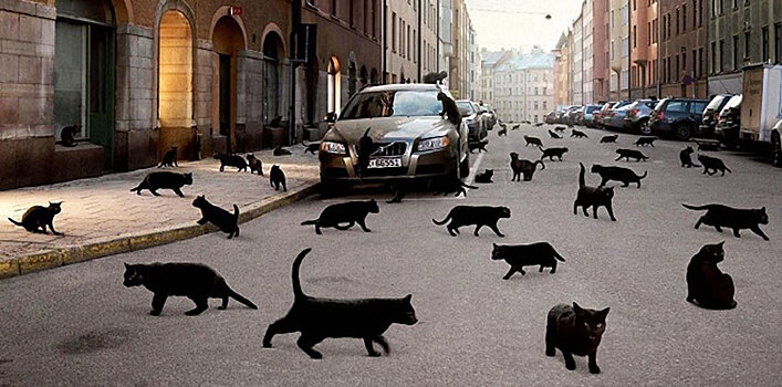 «Тьфу, тьфу, тьфу». Суеверные пензенцы-водители