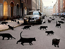 «Тьфу, тьфу, тьфу». Суеверные пензенцы-водители