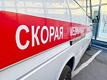 Женщина и ребенок погибли при ударе ВСУ по Климову в Брянской области